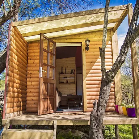 ホームステイ Seles Camping (adults Only)