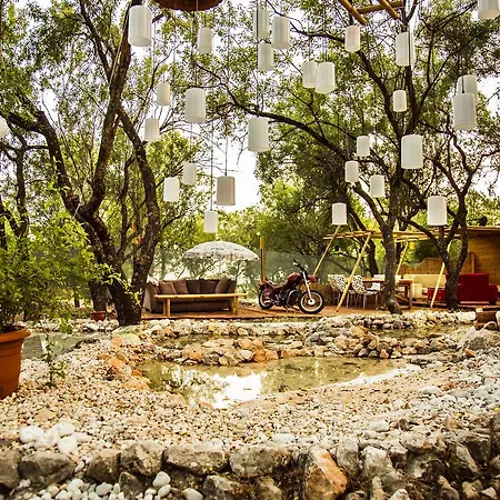 Seles Camping (adults Only) ホームステイ カシュ